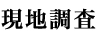 現地調査